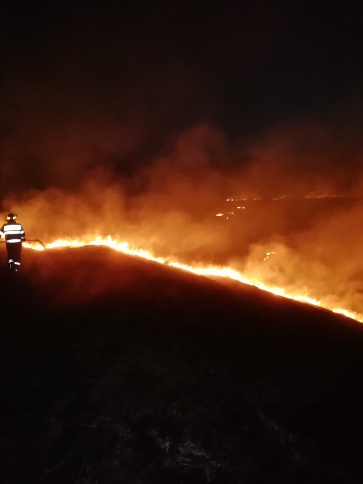 Incendii pe 540 hectare de teren, în Constanța