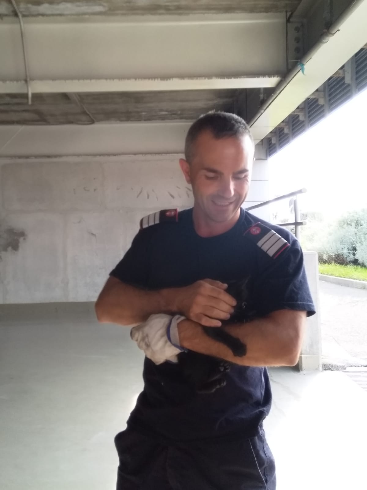 Pompierii au salvat o pisică blocată într-un stâlp