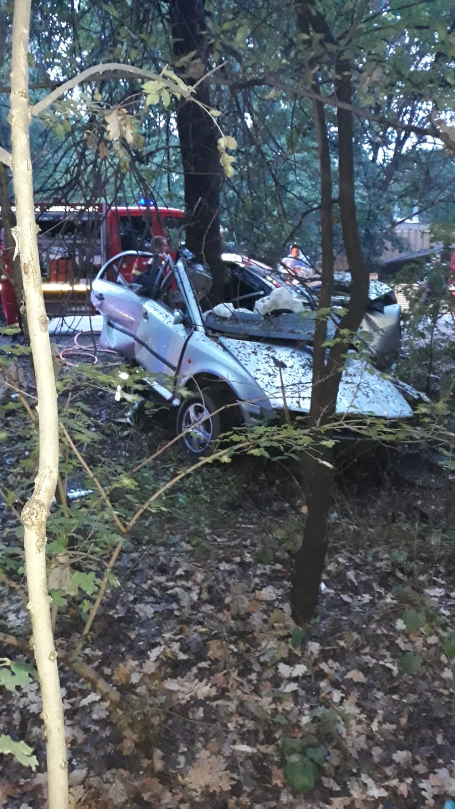 FOTO VIDEO Un tânăr a murit după ce a intrat cu mașina în copac