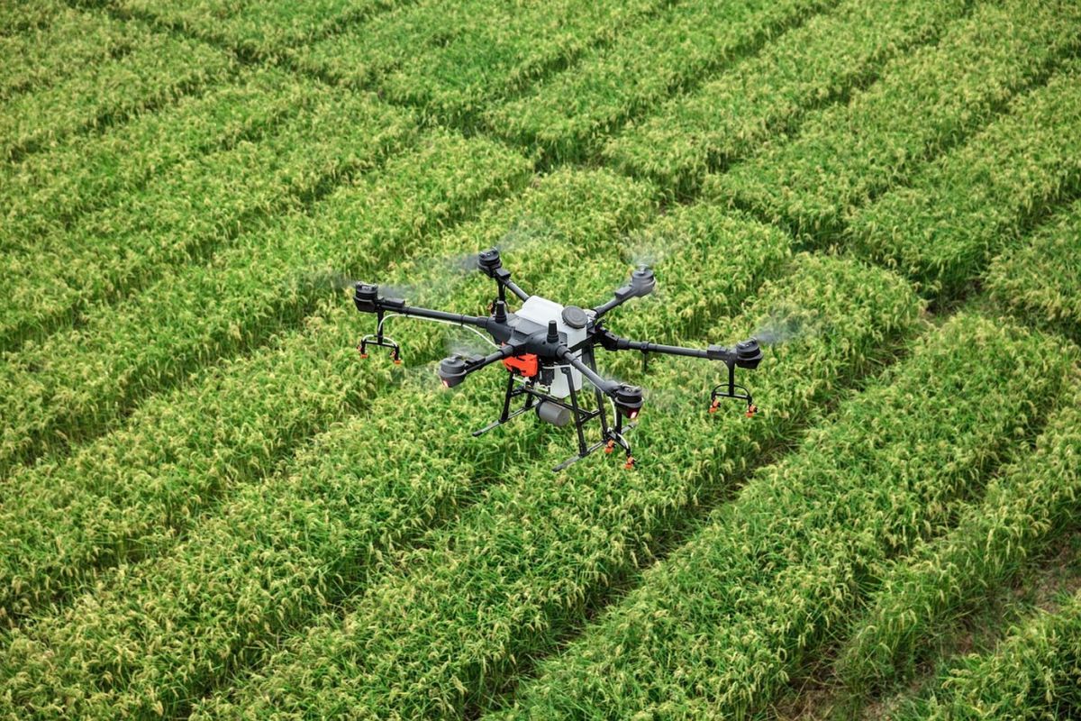 Roboți în agricultură: „Fermierii, așa cum îi știm, vor deveni amintire”