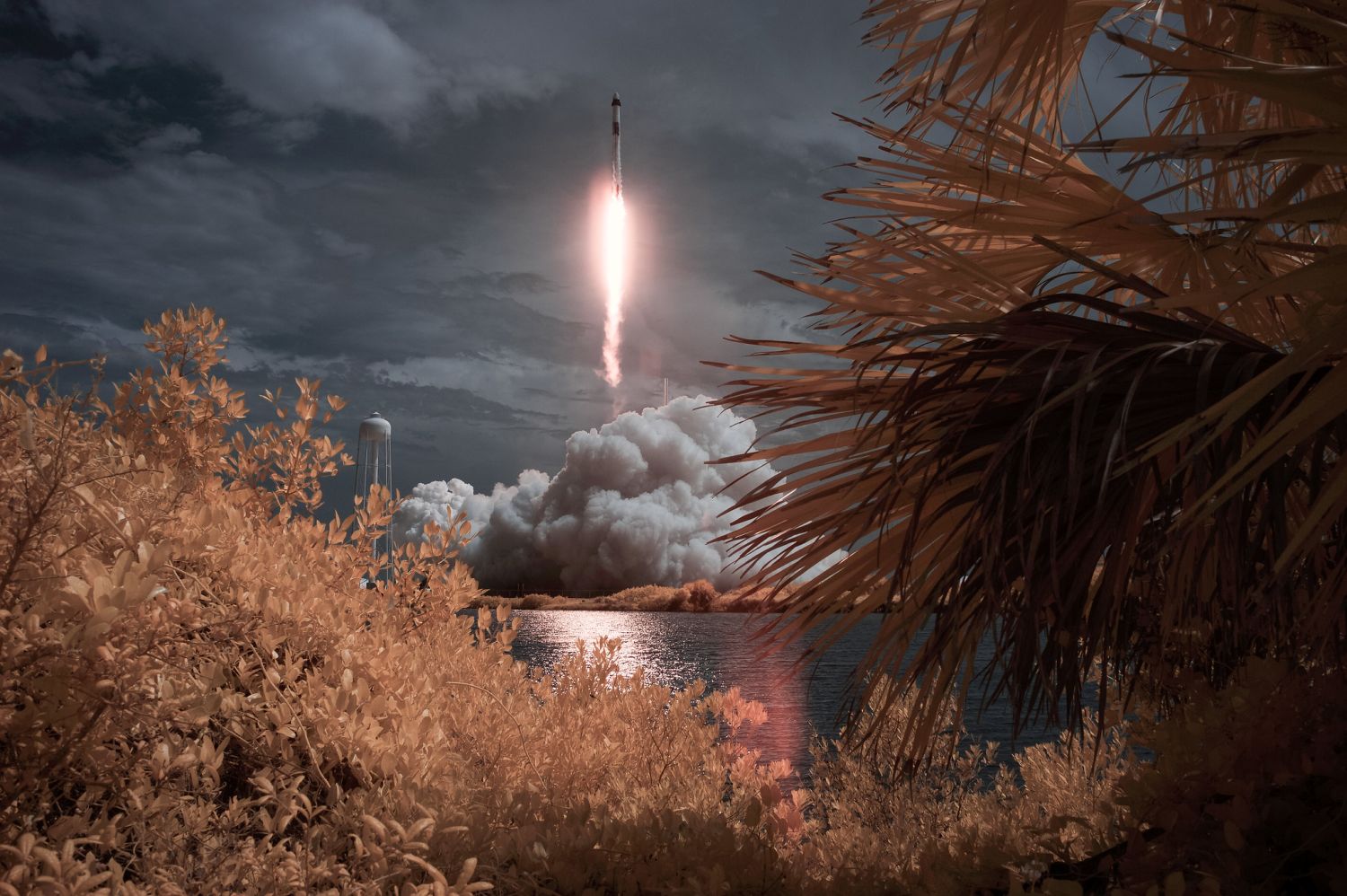 VIDEO Un pas în drumul spre Marte. SpaceX și NASA au lansat cu succes doi astronauți în spațiu