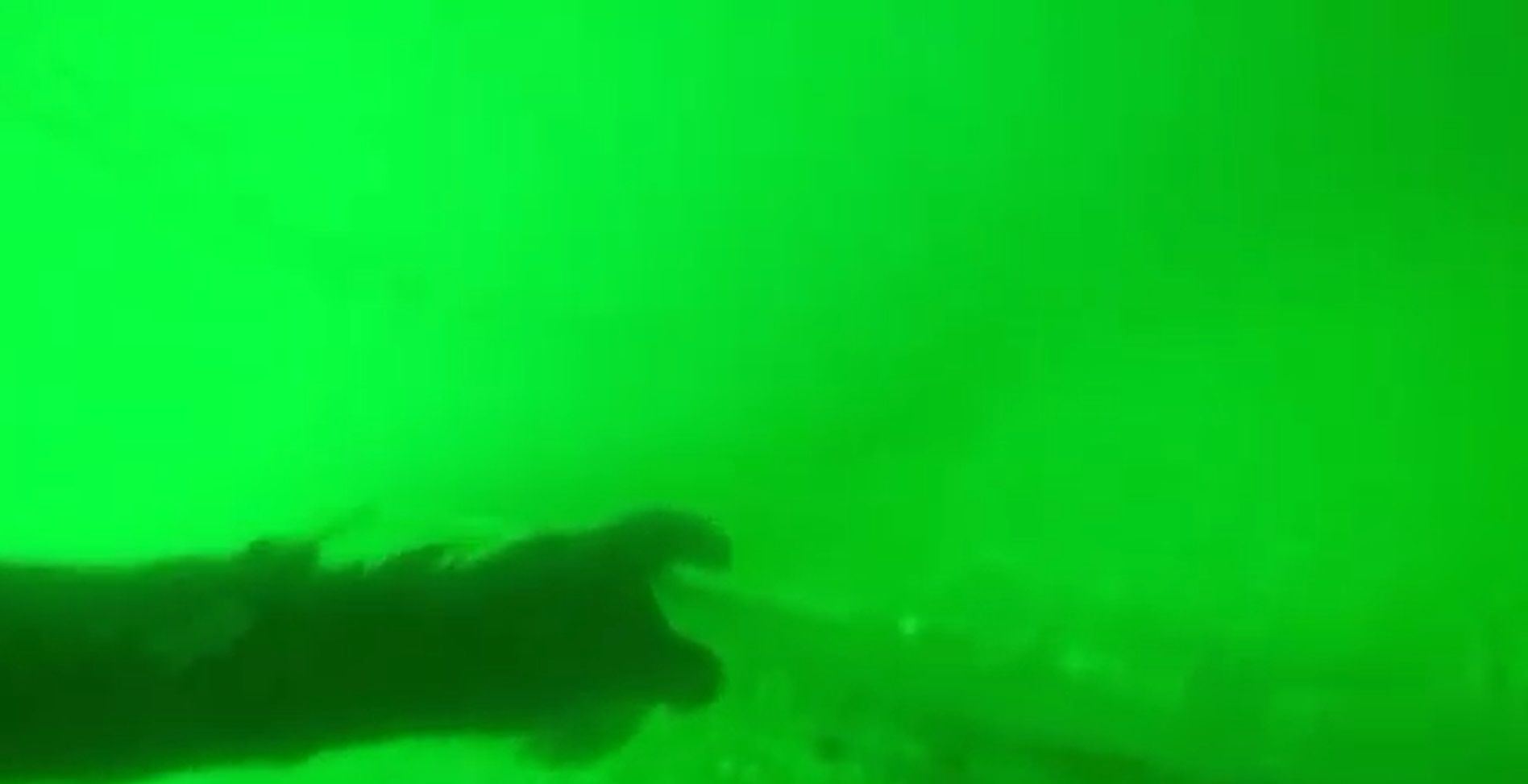 pescador scufundat