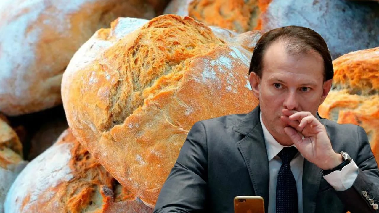 Cristina Dumitrache, PSD: „De ce ar ști domnul Cîțu cât costă o pâine?”