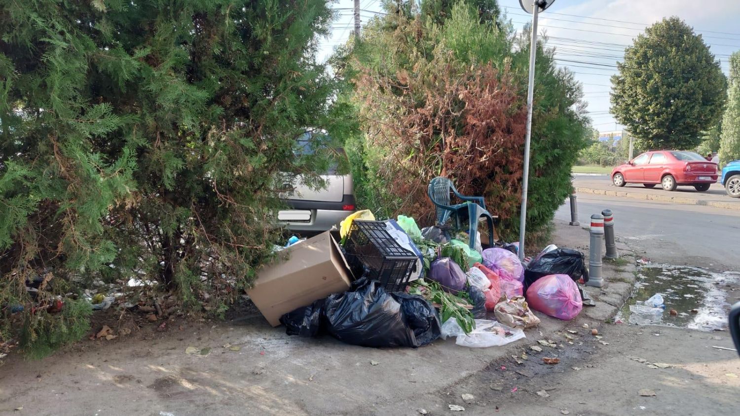 Poliția Locală Constanța a dat amezi de 328.900 de lei celor care nu aruncă gunoiul unde și cum trebuie