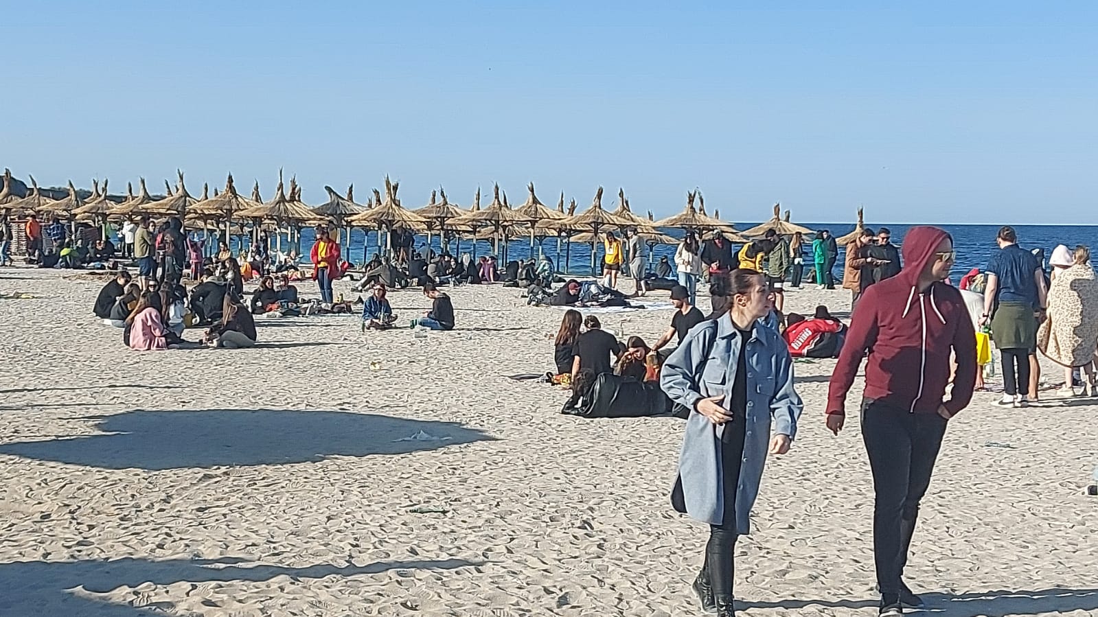 Prețurile de pe litoralul românesc l-au speriat și pe ministrul Turismului