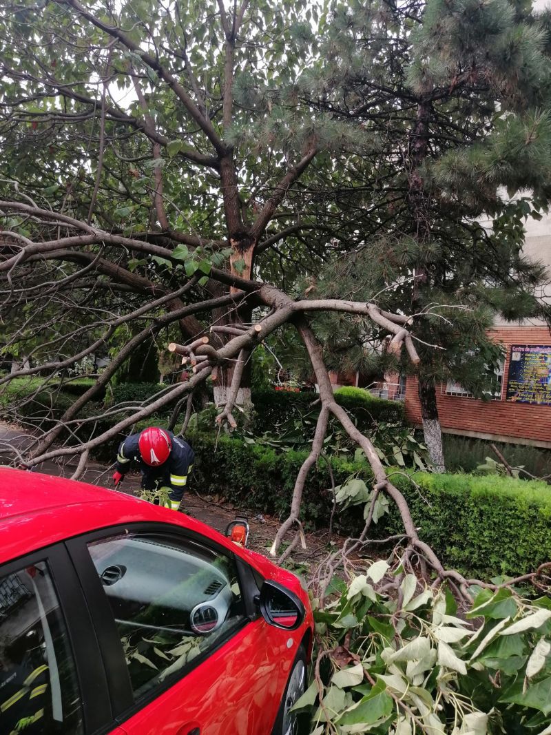 Un copac a căzut peste o mașină în Constanța, stâlp de electricitate prăbușit pe șosea în Mamaia