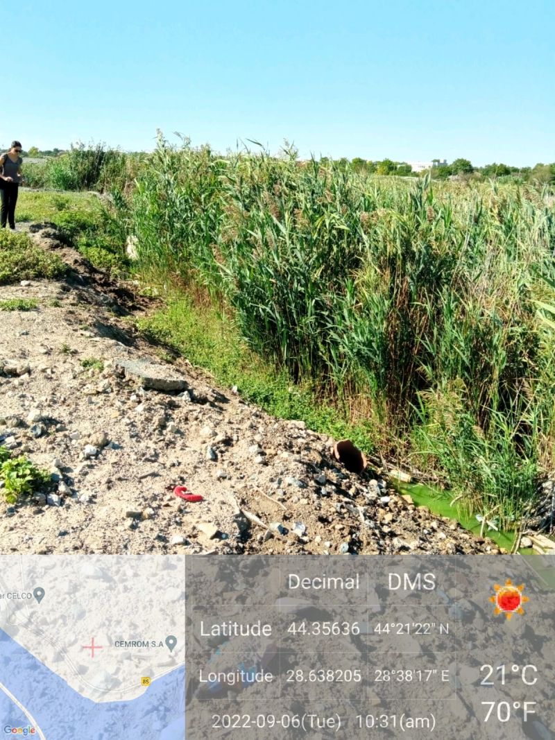 Au îngropat gunoaie în Lacul Techirghiol. S-a deschis un dosar de cercetare penală