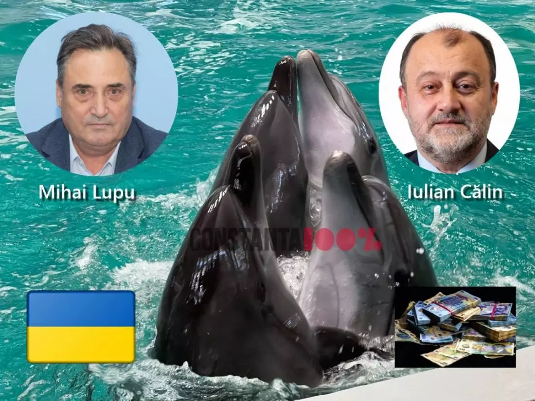 Delfinariul din Constanța a plătit anul trecut 3,2 milioane lei pentru folosirea în spectacole a patru delfini salvați din Ucraina
