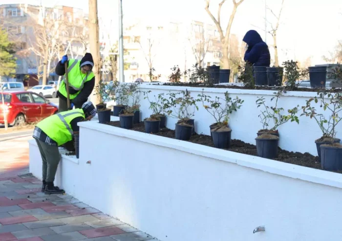 Primăria Constanța anunță că mii de copaci, arbuști și plante decorative vor mări suprafața de spațiu verde din oraș